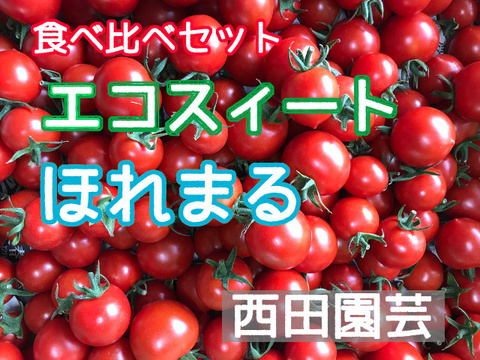 食べ比べセット エコスィート・ほれまる ミニトマト バラ各0.9kg計1.8kg