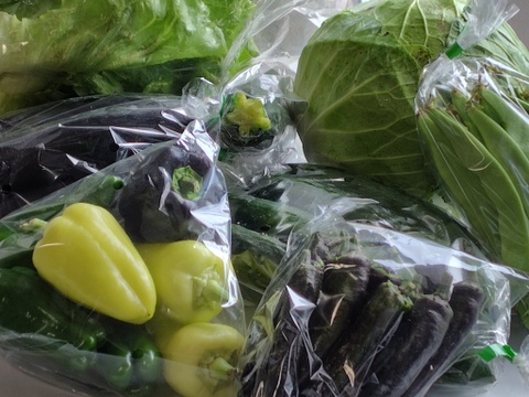 【旬のお勧め野菜セット】＊6品目以上～農薬/化学肥料・不使用