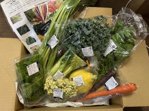 お野菜〜プロフをご覧下さい〜 みたあじ【規格外野菜・フードロス削減・野菜宅配