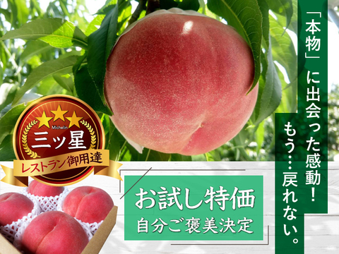 【お試し特価キャンペーン】~自分ご褒美に三ッ星レストラン御用達の極上桃~【先着300名限定】