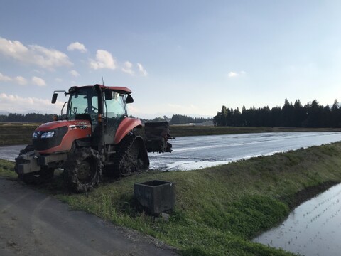 【新米予約】令和8年産 魚沼産コシヒカリ 特別栽培米 精米 5kg【当地比農薬5割減栽培】