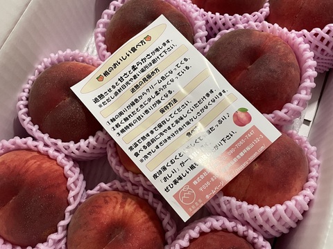 🍑希少な桃 美郷 約3kg 8～14玉【ASIAGAP認証農場：津軽農園】8