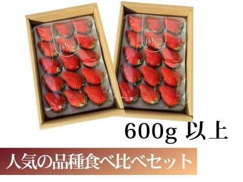 【食べ比べ】600g以上食べ比べセット！人気品種「紅ほっぺ」300g+静岡限定品種「きらぴ香」300g or 希少品種「おいCベリー」300gのどちらかのランダムパック!