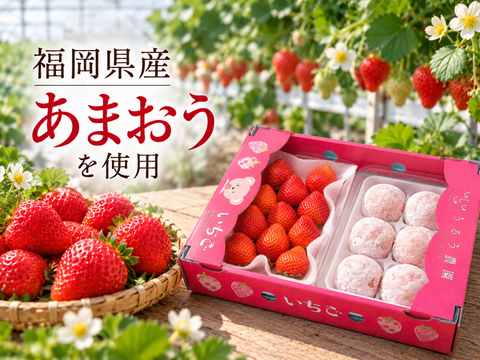【予約販売 2026年12月中旬～順次発送】あまおう大福セット (あまおう苺約250～270g 1パック（約540g）＆大福6個)