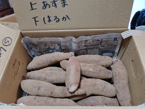 ホクホクとねっとりの食べ比べ‼️
さつまいも【紅あずま、紅はるか】9.8kg M-2L