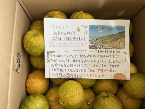 ジャバラ【小玉】5kg(箱込)