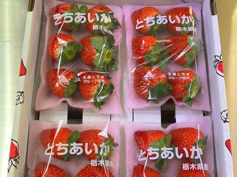 (4P)【いちご・とちあいか】実がしっかりして酸味が少なく甘さが際立つ新品種★「とちあいか」(４パック) 栃木県産いちご●一番人気いちごセット