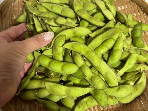 10/15注文最終日！希少・幻の黒枝豆『京白丹波』250g以上×4袋