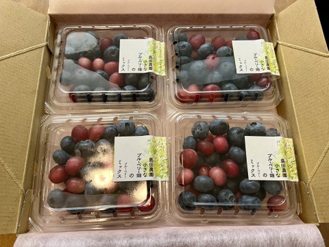 【生食用】　朝採り！旬のブルーベリー（ピンクレモネード入りミックス）１２５ｇ×４Ｐ  限定５箱