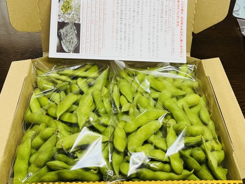 枝豆:湯上がり娘900g☆味には自信が有ります！おつまみに♪「収穫日即日発送です！