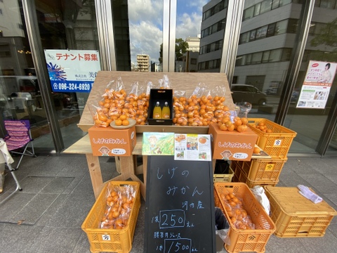 【12月はこの品種！】中生みかん（尾崎温州）5キロ