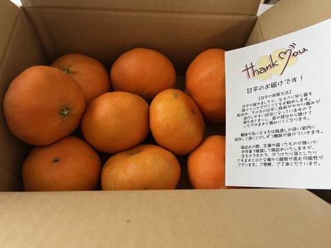 《ご家庭用》愛媛県限定品種『甘平』(2kg)