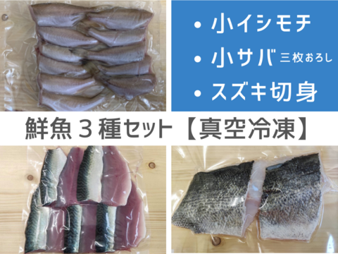 漁師直送 鮮魚３種セット 急速冷凍 小イシモチ 小サバ三枚おろし 急速冷凍 スズキ切身 千葉県産の魚 食べチョク 産地直送 産直 お取り寄せ通販 農家 漁師から旬の食材を直送