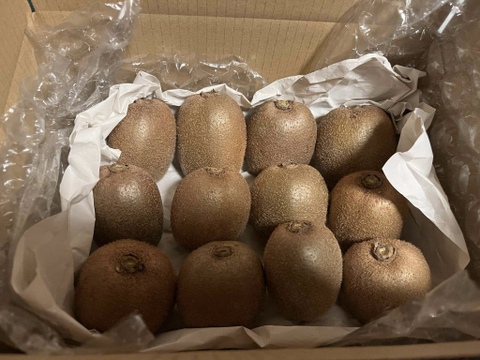 国東半島の地下水で育った栄養満点のキウイを直接お届け！『国東産キウイ』1kg　ヘイワード（8〜13個）