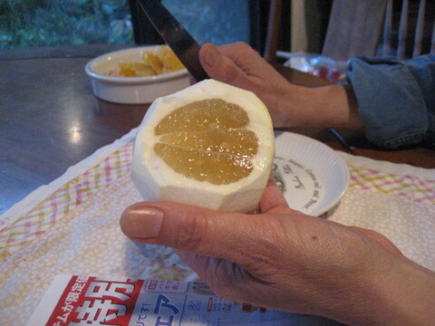 【母の日ギフト】【メッセージカード付き】朝採りニューサマーオレンジ２kg贈り物箱　農薬・肥料・除草剤不使用