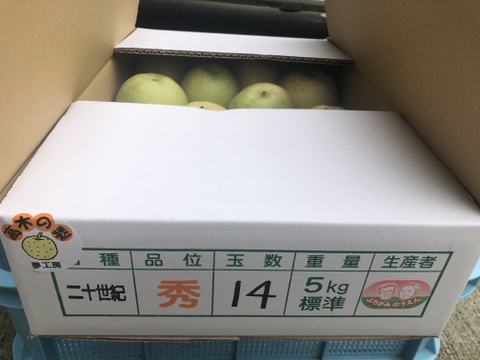 シャキッとさわやかな甘み　二十世紀梨(5kg)14〜18玉
