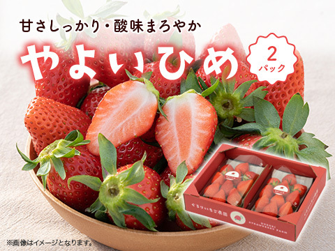 とっても甘〜い大粒いちご！ぐんまが誇るやよいひめ！250g×2パック