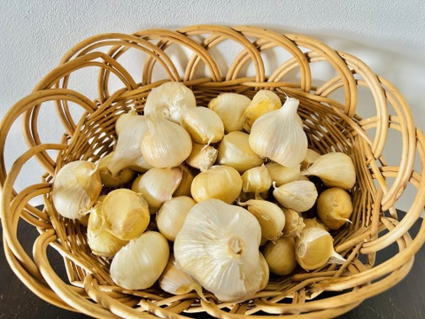 オーガニックホワイト六片 〈バラ売り〉500g🧄有機栽培🌿Organic Piece of Garlic