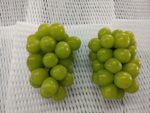 シャインマスカット【ご家庭用】2kg　4～5房
