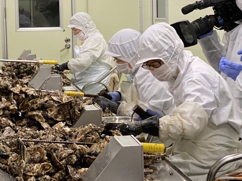 【生食用】かきむき身1kg（200g×5ｐ）　広島の海から直送♪　鮮度抜群！安心安全なこだわりの生かき