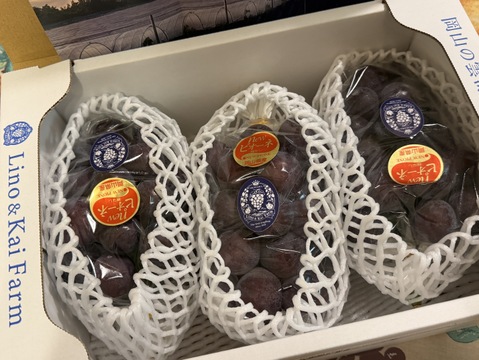 食べチョクアワード 4年連続受賞！】※ご家庭用 岡山の『ニューピオーネ