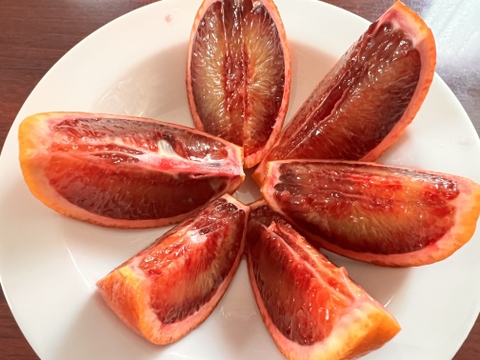 SP3 【農園イチオシ柑橘】ブラッドオレンジ（モロ）2.5kg