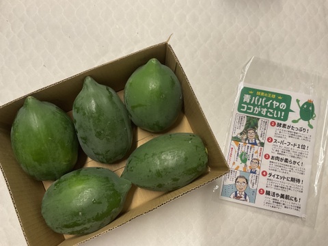 新鮮でジューシー！青パパイヤ（ご家庭用・２kg）