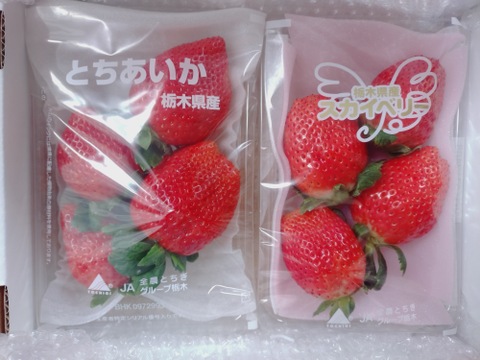 完熟特選セット
とちあいかとスカイベリー
【いちご食べ比べ】