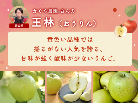 【限定150セット】3品種りんご食べ比べセット（食べチョク公式）