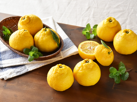 酸味が少なくまろやかな甘み　三宝柑【家庭用(訳あり)】[2.5kg]　321-2h