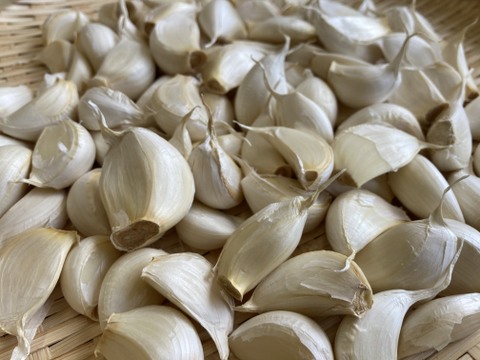 訳あり！《農薬化学肥料不使用》バラ売り愛知県国産ニンニク500g