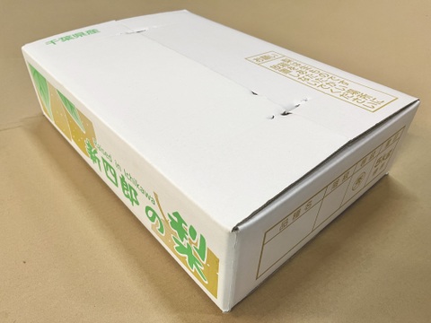 夏の定番🍏　千葉県産【幸水】5㎏　お手頃サイズ『14～20玉入』市川のなし・秀品