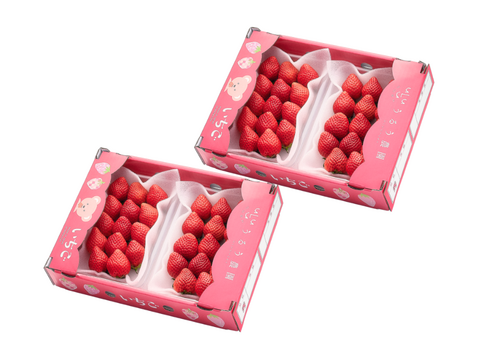 苺ω・)様用 予約販売 2026年11月下旬～順次発送】いちごの王様！あまおう苺 人気