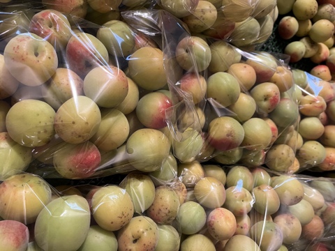 まじりっけなし！梅干に最適『十郎』3kg 自然栽培の梅。ジャム、茶梅など様々なレシピに。農薬不使用