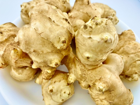 菊芋　約５㎏【肥料・農薬不使用、不耕起(耕さずに)栽培、自家採種】