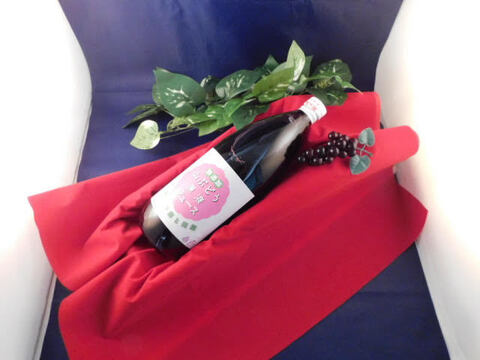 山形県産 山菜ときのこの森から「山ぶどう原液100%ジュース 1000mlx1本」