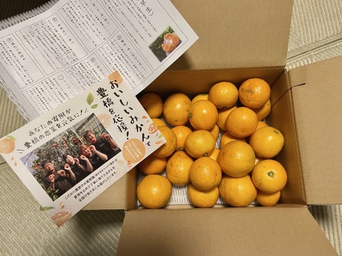 大感動！超濃厚！糖度16度越えも！魔法のみかんとネットで話題！こんなみかん食べた事ない！極早生みかん「ゆら早生」の最高峰！薄皮と濃厚な味わいで毎年リピ続出「ゆらりん」お試し品　約２ｋｇ【225-2k】