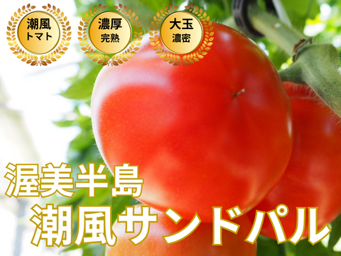 🍅知る人ぞ知る“幻の赤い宝石🍅選ばれし9％だけが名乗れる称号『潮風サンドパル』全国でもわずかな農家にしか育てられない超希少完熟トマト🍅お試約1㎏【冬ギフト】【１月中旬予約】