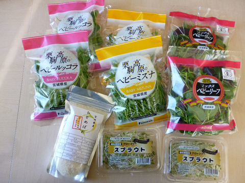 お米が入った（精米  ２合×２袋）サラダ野菜セット【食べ比べ】