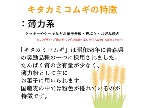 【栽培期間中農薬不散布】全粒粉 石臼挽き 2kg 青森県産単一品100％使用 日本の小麦 「キタカミコムギ」