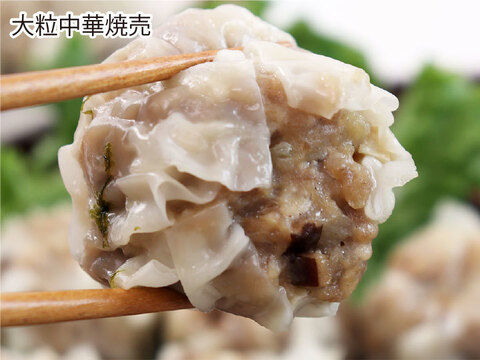 【ギフト】ジャンボ焼売を2種楽しめる　元気豚 焼売2種セット（2種4品）【熨斗対応可】