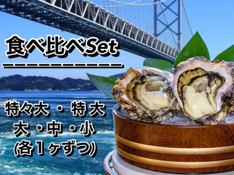 徳島県産 天然 岩牡蠣
  【食べ比べSet 各１ヶずつ】