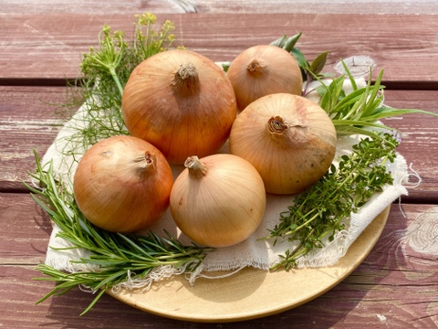 ハーブ農家が栽培した 農薬不使用玉ねぎ5kg(大〜小混合)