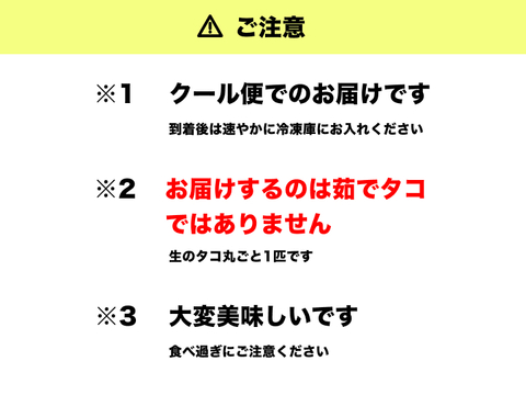 お試しミニタコ】日間賀島たこ Sサイズ×1匹：愛知県産のその他タコ