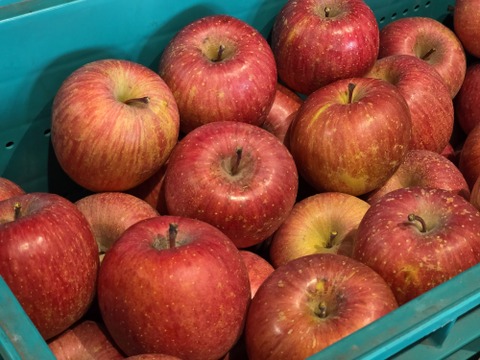 東京で１番美味しいかもしれない！と評価していただきました✨
贅沢５品種ブレンドりんごジュース「百年の想い」 720ml 3本セット