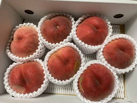 ずっと硬いもも】品種おまかせ🍑2キロ 🍑【ご家庭用桃】【訳あり