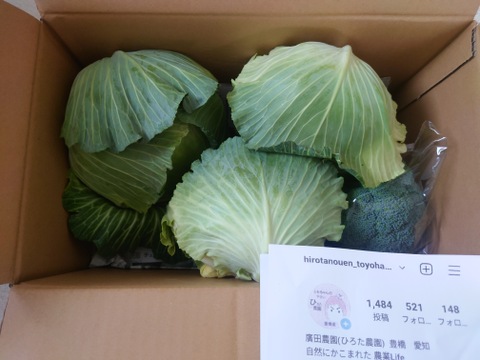 【食べチョクアワード2025入賞】
３玉🌊寒玉🌊ミネラル🌊キャベツ