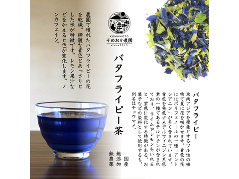 【季節セット】ナツ 野菜茶セット