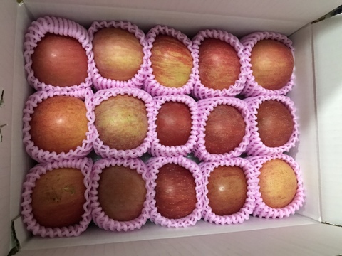 まるせい果樹園の節分りんご　訳あり　3㌔　自家用　家庭用 hs2