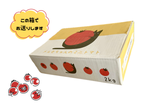 【訳あり品】ご家庭用に！ミニトマト『ほれまる』2kg【発送7月中旬～】